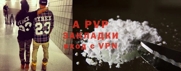 стаф Арсеньев