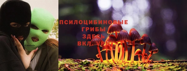 PSILOCYBIN Аркадак