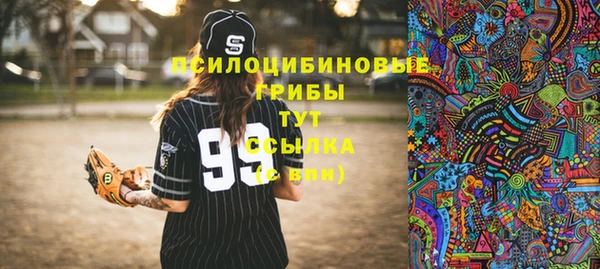 PSILOCYBIN Аркадак