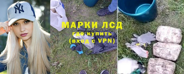 стаф Арсеньев