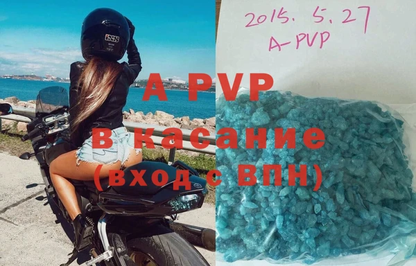 стаф Арсеньев
