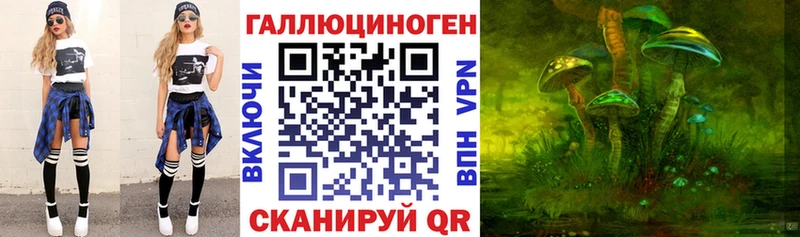 купить  цена  Фокино  Галлюциногенные грибы Cubensis 